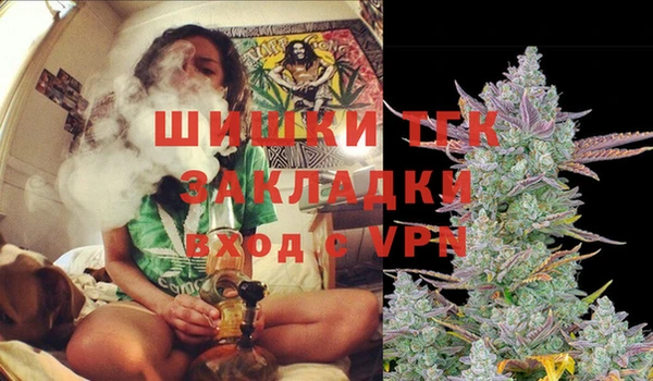 мяу мяу мука Арсеньев