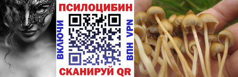 гидра рабочий сайт  магазин  наркотиков  Вихоревка  Галлюциногенные грибы Magic Shrooms 
